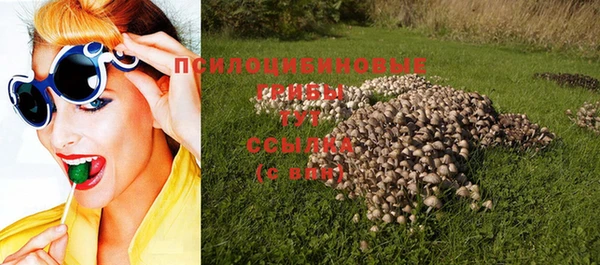 прущая мука Дмитриев