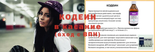 прущие крисы Ельня