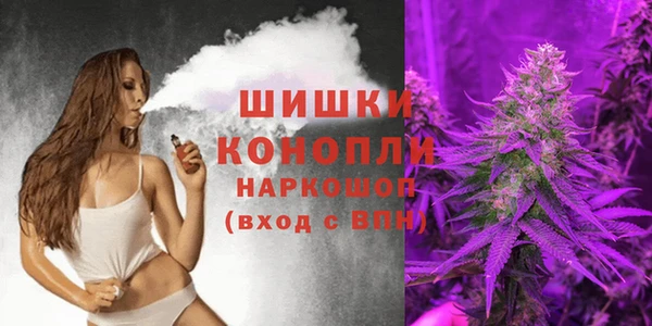 прущая мука Дмитриев