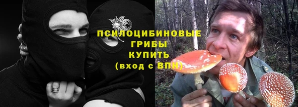 прущая мука Дмитриев