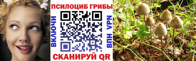 omg как зайти  Яранск  Псилоцибиновые грибы прущие грибы  даркнет сайт 